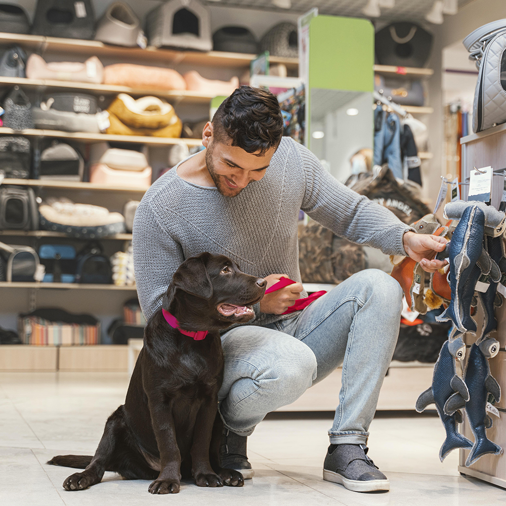 Fachada e atendimento do Pet Shop Palmira no Jardim Palmira