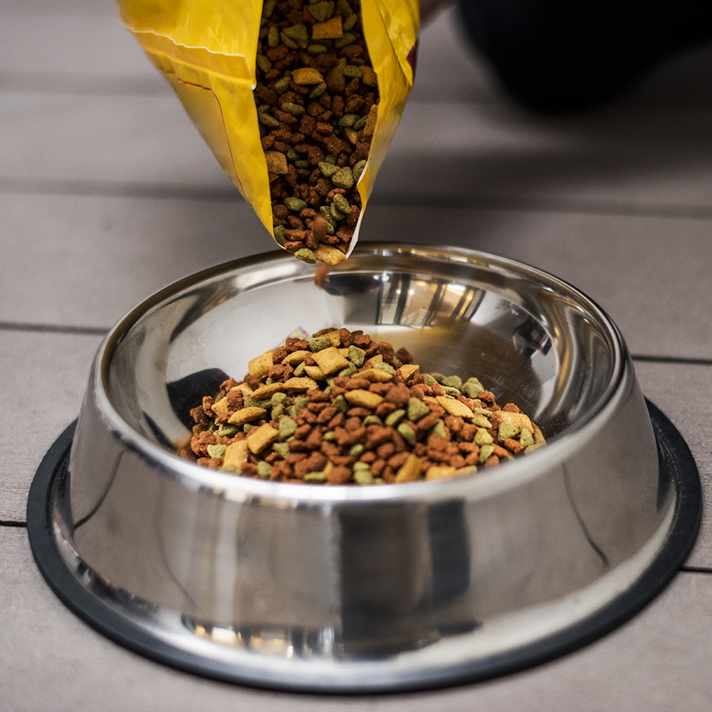 Alimento nutritivo e crocante para cães e felinos
